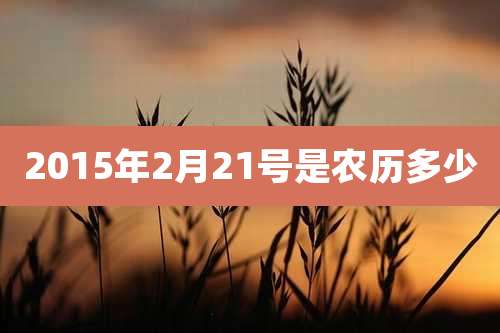 2015年2月21号是农历多少