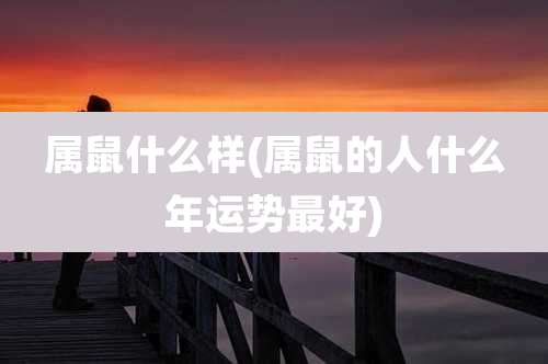 属鼠什么样(属鼠的人什么年运势最好)