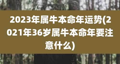 2023年属牛本命年运势(2021年36岁属牛本命年要注意什么)