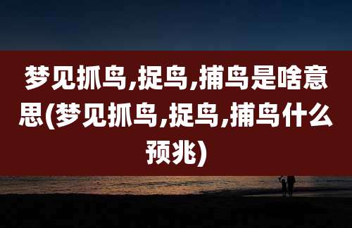 梦见抓鸟,捉鸟,捕鸟是啥意思(梦见抓鸟,捉鸟,捕鸟什么预兆)