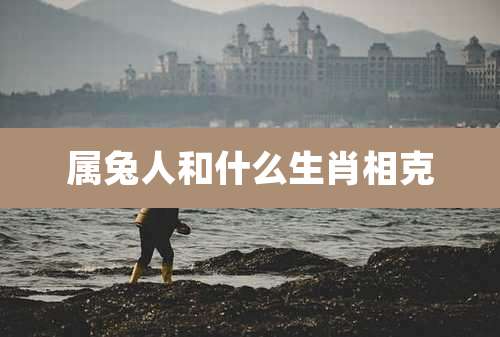 属兔人和什么生肖相克