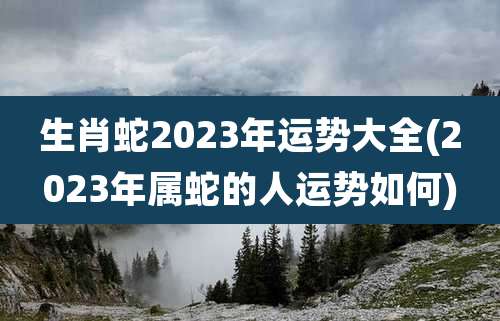 生肖蛇2023年运势大全(2023年属蛇的人运势如何)