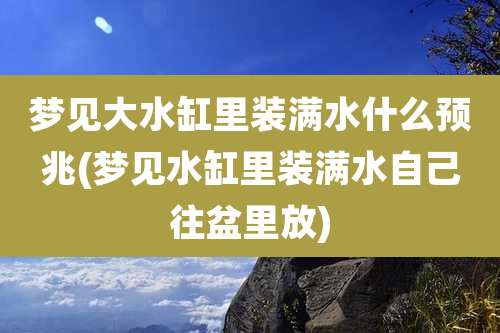 梦见大水缸里装满水什么预兆(梦见水缸里装满水自己往盆里放)