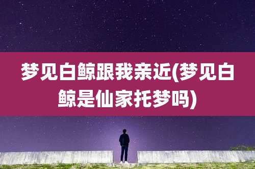 梦见白鲸跟我亲近(梦见白鲸是仙家托梦吗)