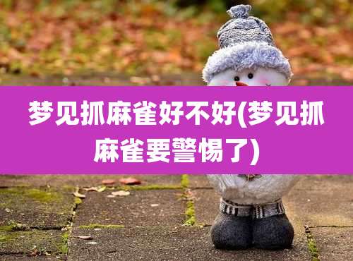 梦见抓麻雀好不好(梦见抓麻雀要警惕了)