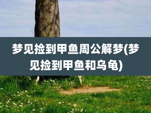 梦见捡到甲鱼周公解梦(梦见捡到甲鱼和乌龟)