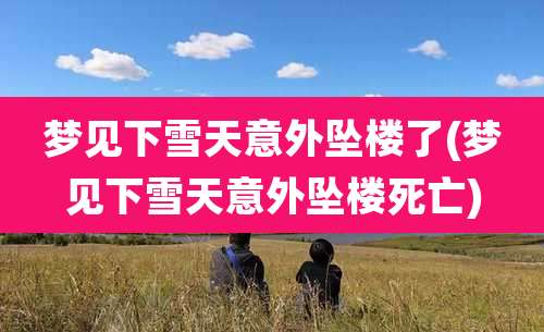 梦见下雪天意外坠楼了(梦见下雪天意外坠楼死亡)