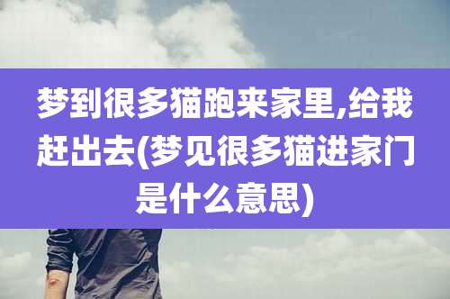 梦到很多猫跑来家里,给我赶出去(梦见很多猫进家门是什么意思)