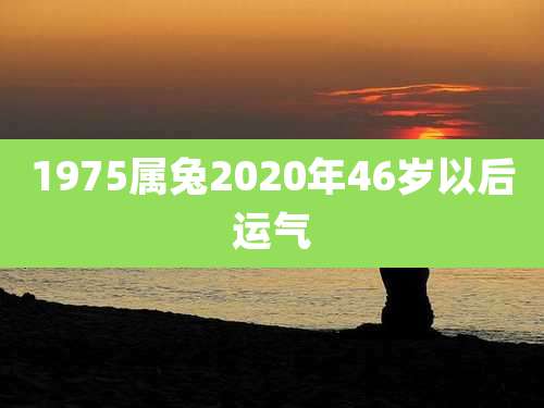1975属兔2020年46岁以后运气
