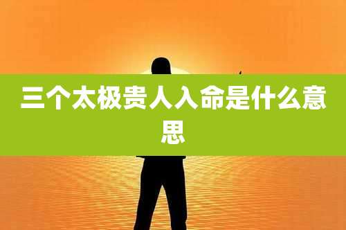 三个太极贵人入命是什么意思