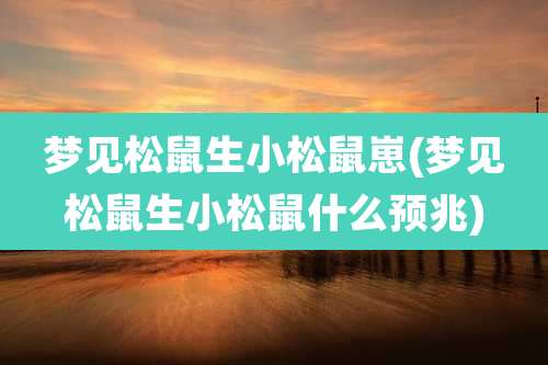 梦见松鼠生小松鼠崽(梦见松鼠生小松鼠什么预兆)