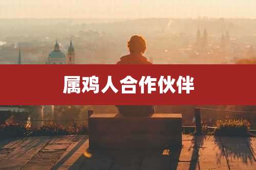 属鸡人合作伙伴