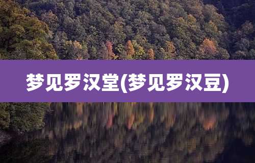 梦见罗汉堂(梦见罗汉豆)