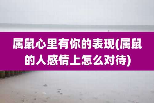 属鼠心里有你的表现(属鼠的人感情上怎么对待)