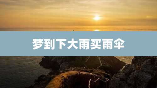 梦到下大雨买雨伞