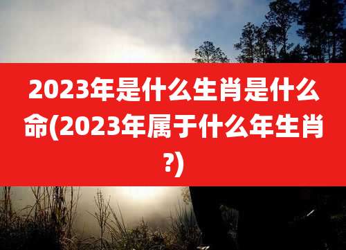 2023年是什么生肖是什么命(2023年属于什么年生肖?)