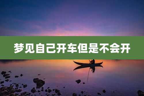 梦见自己开车但是不会开