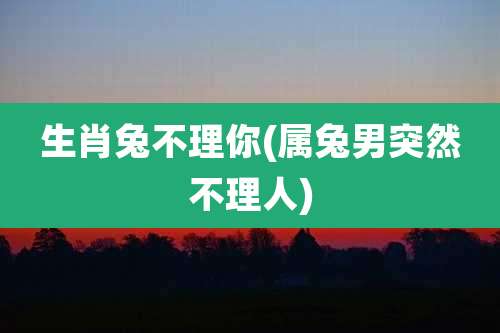 生肖兔不理你(属兔男突然不理人)