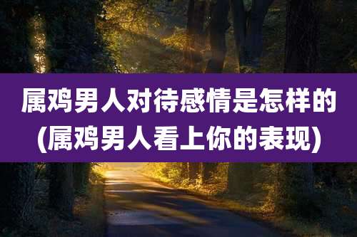 属鸡男人对待感情是怎样的(属鸡男人看上你的表现)