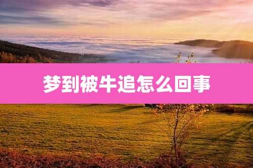 梦到被牛追怎么回事