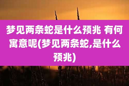 梦见两条蛇是什么预兆 有何寓意呢(梦见两条蛇,是什么预兆)