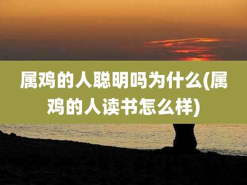 属鸡的人聪明吗为什么(属鸡的人读书怎么样)