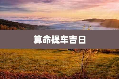 算命提车吉日