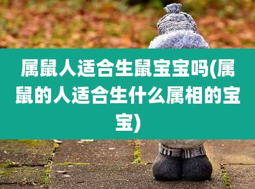 属鼠人适合生鼠宝宝吗(属鼠的人适合生什么属相的宝宝)