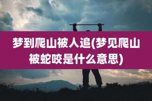 梦到爬山被人追(梦见爬山被蛇咬是什么意思)