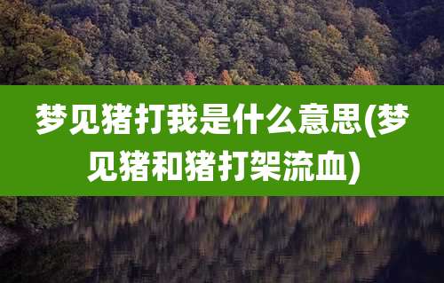 梦见猪打我是什么意思(梦见猪和猪打架流血)