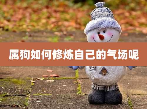 属狗如何修炼自己的气场呢