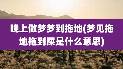 晚上做梦梦到拖地(梦见拖地拖到屎是什么意思)