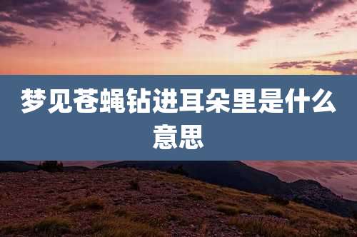 梦见苍蝇钻进耳朵里是什么意思