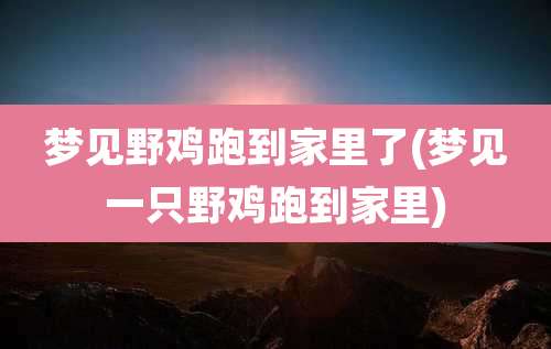 梦见野鸡跑到家里了(梦见一只野鸡跑到家里)