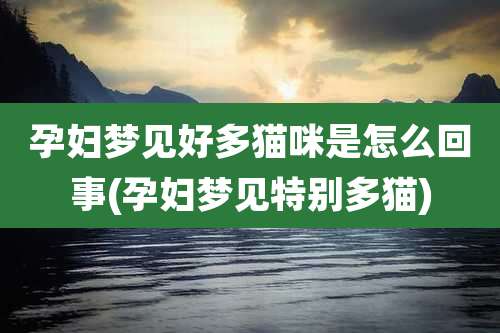 孕妇梦见好多猫咪是怎么回事(孕妇梦见特别多猫)