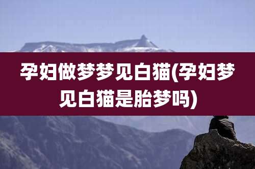 孕妇做梦梦见白猫(孕妇梦见白猫是胎梦吗)