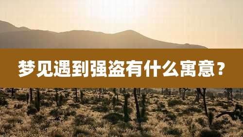 梦见遇到强盗有什么寓意?