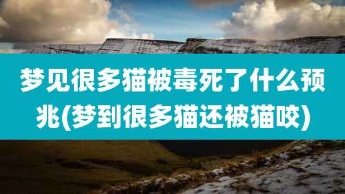 梦见很多猫被毒死了什么预兆(梦到很多猫还被猫咬)