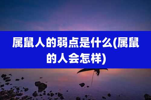 属鼠人的弱点是什么(属鼠的人会怎样)