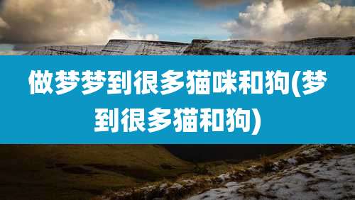 做梦梦到很多猫咪和狗(梦到很多猫和狗)