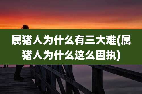 属猪人为什么有三大难(属猪人为什么这么固执)