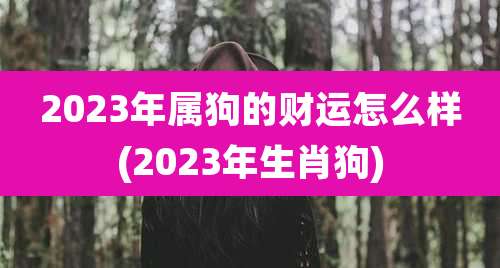 2023年属狗的财运怎么样(2023年生肖狗)
