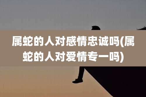 属蛇的人对感情忠诚吗(属蛇的人对爱情专一吗)