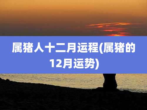 属猪人十二月运程(属猪的12月运势)