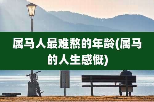 属马人最难熬的年龄(属马的人生感慨)