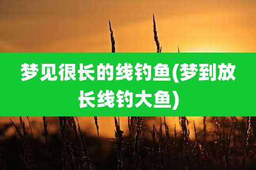 梦见很长的线钓鱼(梦到放长线钓大鱼)