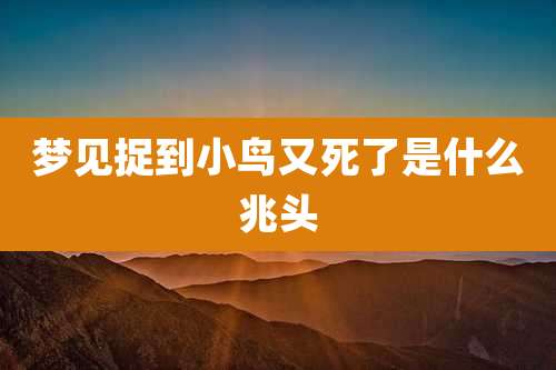 梦见捉到小鸟又死了是什么兆头