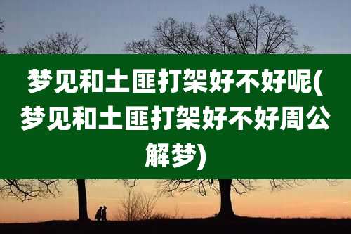 梦见和土匪打架好不好呢(梦见和土匪打架好不好周公解梦)