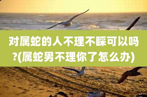 对属蛇的人不理不睬可以吗?(属蛇男不理你了怎么办)