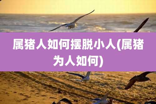 属猪人如何摆脱小人(属猪为人如何)